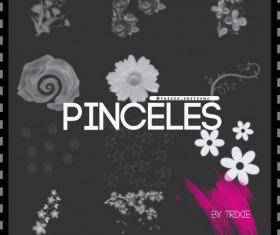 Pinceles Flores Photoshop Brush