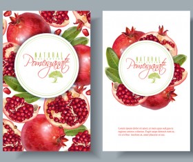 Pomegranate cards template vector 01