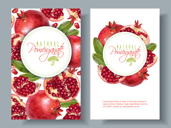 Pomegranate cards template vector 01