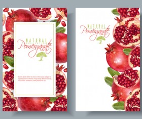Pomegranate cards template vector 02