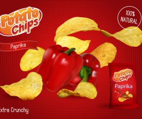 Potato chips poster advertising vector 03