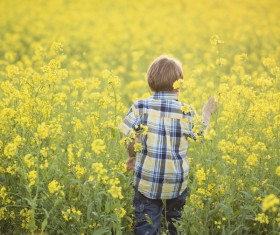 Rapeseed field boy Stock Photo