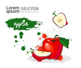Red apple watercolor drawn vector