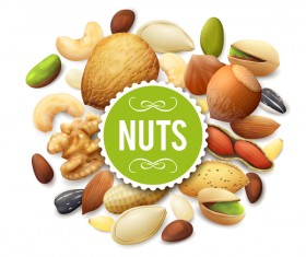 Shiny nuts background vector