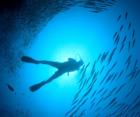 Shoot the beautiful seabed Stock Photo