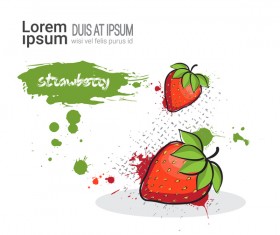 Strawberry watercolor drawn vector