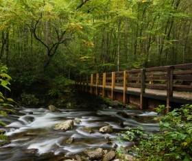Streamy bridge quiet forest Stock Photo