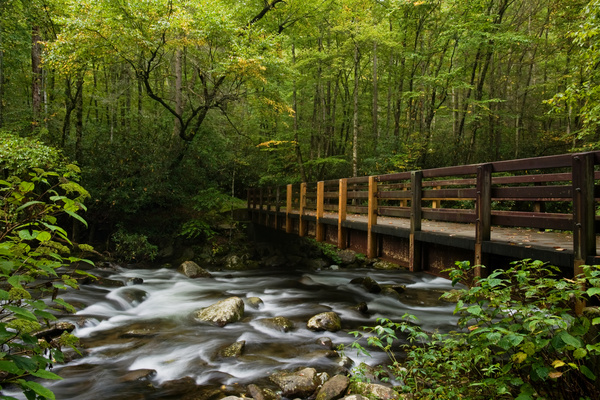 Streamy bridge quiet forest Stock Photo