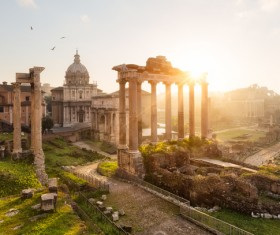 Sunlight in the Roman Forum Stock Photo