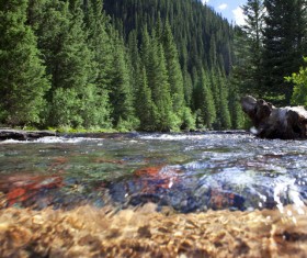 The streams in the forest Stock Photo