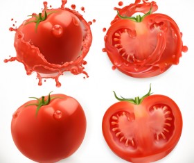 Tomato juice and splash vector