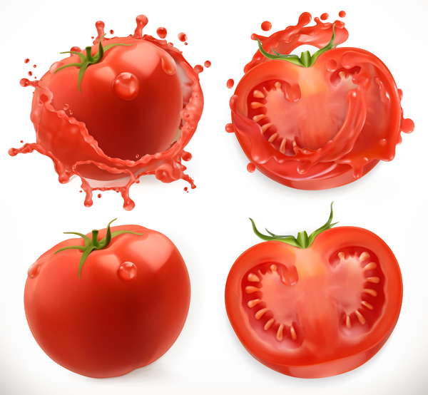 Tomato juice and splash vector