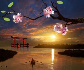 Twilight cherry blossoms Stock Photo