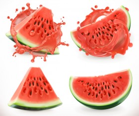 Watermelon juice and splash vector