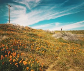 Young girl head closeup Stock Photo