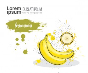 banana watercolor drawn vector