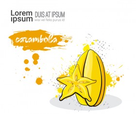 carambola watercolor drawn vector