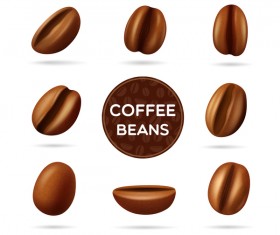 coffee beans illustration vector