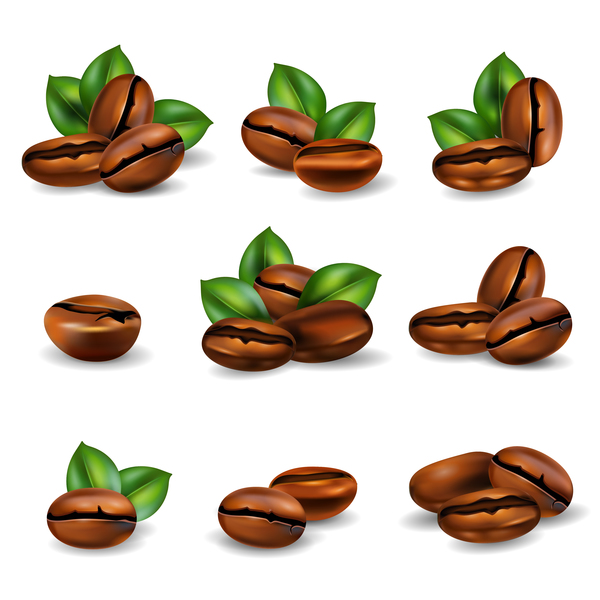 coffee beans set realistic vector