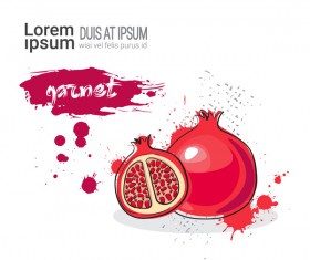 garnet watercolor drawn vector