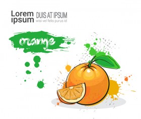 orange watercolor drawn vector