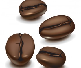realistic coffee beans design vector