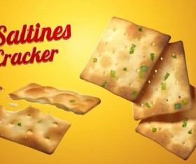 saltine cracker background vector design