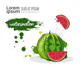 watermelon watercolor drawn vector