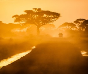African cars in the natural park Stock Photo