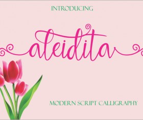 Aleidita fonts