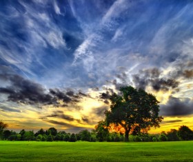 Amazing nature Stock Photo 02