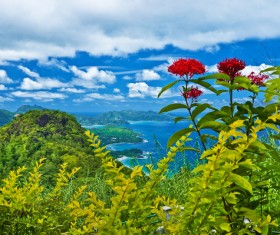 Amazing nature Stock Photo 03