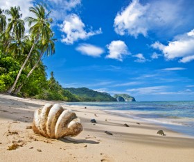 Amazing nature Stock Photo 04