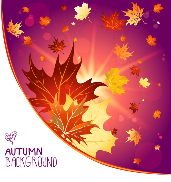 Autumn laeves with sunlight background vector 01
