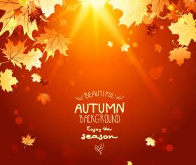 Autumn laeves with sunlight background vector 02