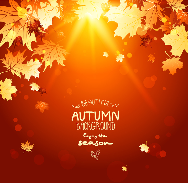 Autumn laeves with sunlight background vector 02
