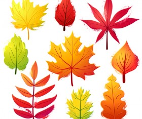 Autumn leaves set vector 02