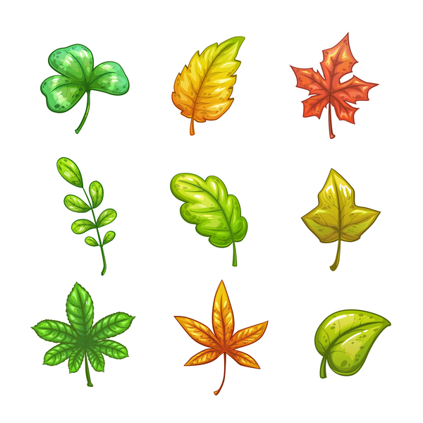 Autumn leaves set vector 03