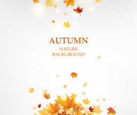 Autumn leaves with nature background vectors