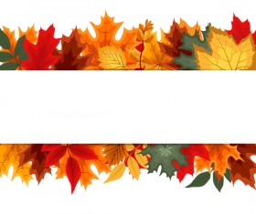 Autumn leaves with white background vector 02 free download