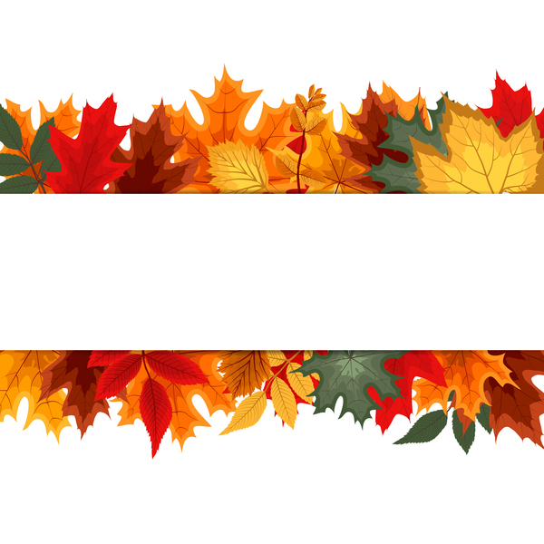 Autumn leaves with white background vector