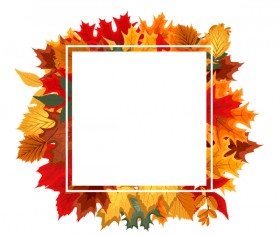 Autumn leaves with white blank frame vector