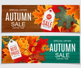 Autumn sale banners with tags vector 01