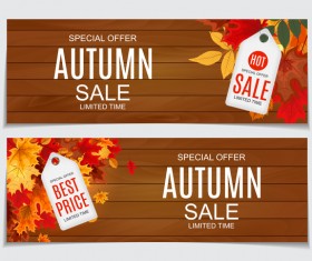 Autumn sale banners with tags vector 02