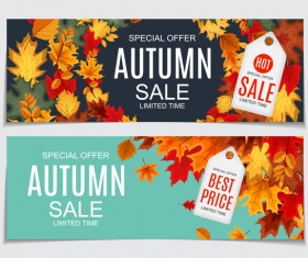 Autumn sale banners with tags vector 03