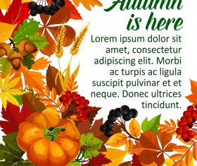 Autumn season flyer page template vector 04