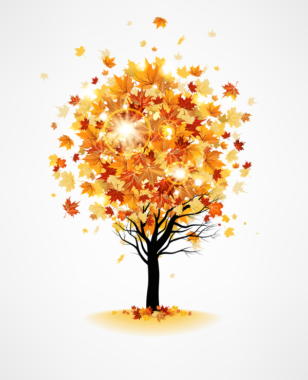 Autumn tree with leaves vector materila