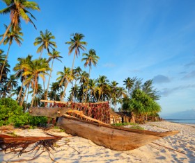 Beachfront Paradise Zanzibar Stock Photo 05