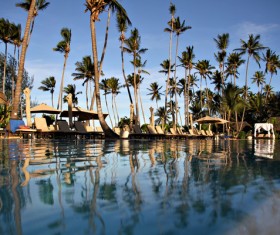Beachfront Paradise Zanzibar Stock Photo 06