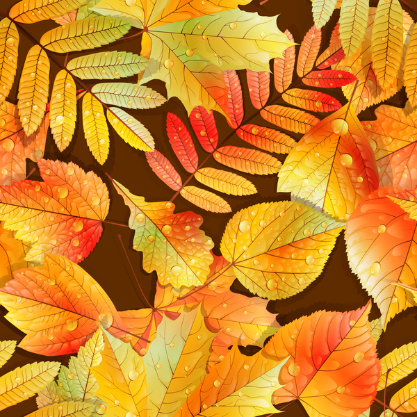 Beautiful autumn leaves with water drop seamless pattern vectors 01